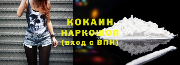 твердый Ладушкин
