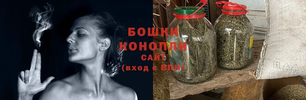 PSILOCYBIN Кукмор