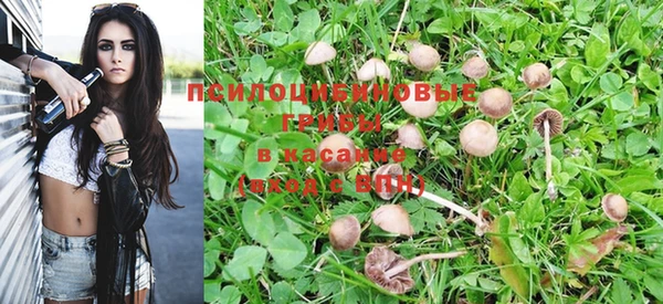 стаф Кулебаки