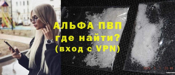 стаф Кулебаки