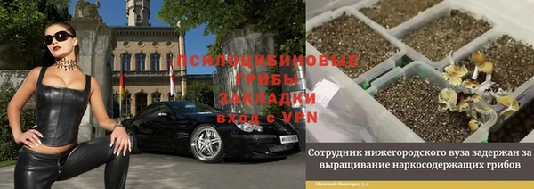 PSILOCYBIN Кукмор