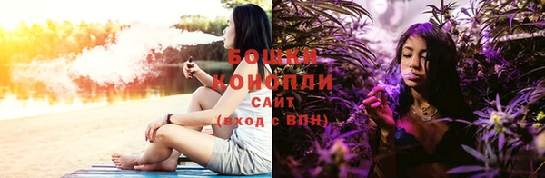 PSILOCYBIN Кукмор
